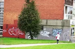 Draudimai suveikė atvirkščiai: ant Alytaus sienų – nauja grafitų banga (NUOTRAUKOS)