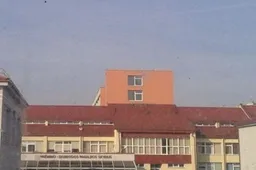 Pjovė šakas - nusipjovė koją ir mirtinai nukraujavo