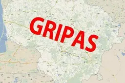 Gripas. Alytaus rajono visuomenės sveikatos biuras yra pasiruošęs padėti