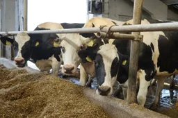 Alytaus rajono ūkininkams už gyvulius – beveik 1 mln. eurų