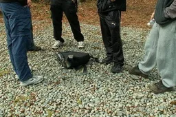 Veisiejų turguje iš kelnių kišenės pavogta piniginė
