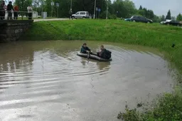 Liūtis sėmė Alytų (FOTO, VIDEO)