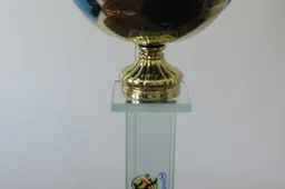 „Futbolo žynio“ konkurso „derlių“ skinsime antradienį