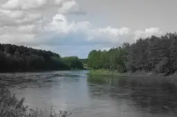 Balandis - švaros mėnuo