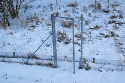 Atsisakyti kiaulininkystės siūloma Alytaus, Krokialaukio, Miroslavo ir Simno seniūnijų gyventojams