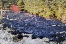 Alytaus apskrities priešgaisrinės gelbėjimo valdyba prašo nedeginti sausos žolės