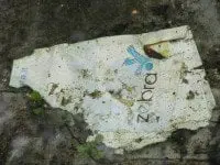 Lazdijiečiai nenori gyventi šiukšlėse