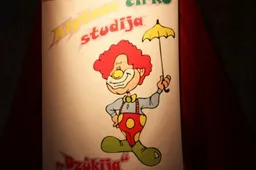 Cirko studija „Dzūkija“ savo gimtadienio proga alytiškiams surengė nuotaikingą pasirodymą (FOTO)
