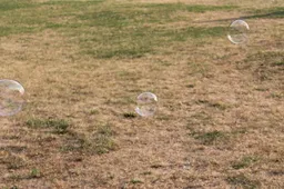 Žemės vertė Alytaus rajone vidutiniškai padidėjo apie 10 procentų