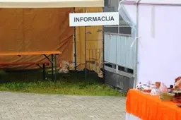 Kas ir kuo prekiaus Alytaus miesto šventėje sužinosime po birželio 1-osios