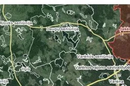Ištyrus Varėnos rajono  miške sumedžiotų šernų mėginius - patvirtintas afrikinis kiaulių maras