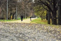 Jaunuolis iš Alytaus nušoko nuo tilto (ATNAUJINTA)