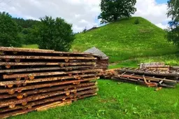 Jotvingių miestelis atgims tarp Alyčio ir Nemuno („Jotvos vartų“ festivalio programa)
