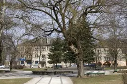 Paskelbtas J. Vito skvero sutvarkymo idėjos konkursas