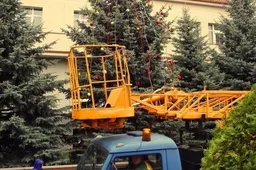 Alytuje – Kalėdų eglučių puošimo pradžia. Rėdomi augantys medžiai, miesto rotušės aikštėje grožėsimės žaliaskare iš Seirijų