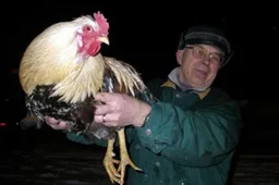 Pasiekė žinia, kad gali išnykti Kaniūkų turgus