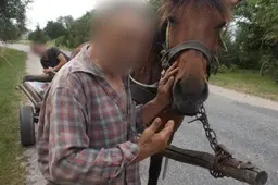Alytaus policija: nevairuok išgėręs! Kelyje elkis atsakingai!