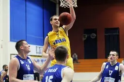 Pirmasis naujojo „Dzūkijos“ trenerio pasirinkimas – bosnis M. Halilovič