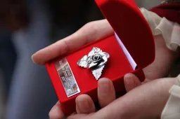 Keturios Alytaus miesto kultūros premijos laukia savininkų