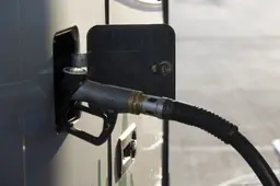 Visą  mėnesį bus vykdoma prevencinė priemonė KURAS