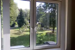 Specialistai pataria: langų priežiūra ir pelėsio poveikis žmogaus sveikatai !
