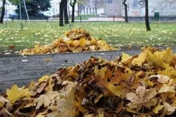 Lapus deginant miestuose ir miesteliuose - baudos iki 800 litų
