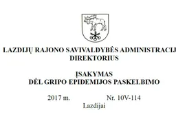 Gripo epidemija Lazdijų rajone - nuo vasario