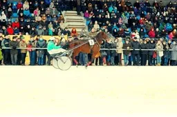 Tradicinės tarptautinės ristūnų žirgų lenktynės - „Lazdijai 2014“ – vasario 16-ją