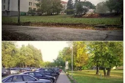 Naujoji automobilių stovėjimo aikštelė prie ligoninės – vietoje gydytojo S. Kudirkos sodinto sodo?