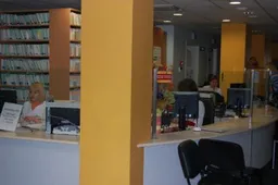 Mažiausiai sergančiųjų gripu - Tauragės ir Alytaus apskrityse