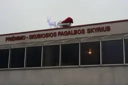 Ligoninės prireikė kelioms dešimtims paslydusių alytiškių