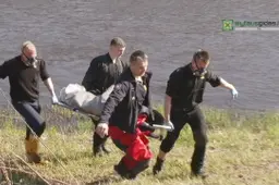 Kur Europoje šventės ir dovanos pigiausios, o kur - brangiausios?