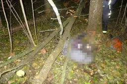 Vyrą ištraukė iš po medžio kamieno - medikai konstatavo mirtį