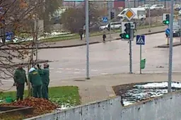 Alytaus miesto žalumą parėmė „Litesko": pasodinta liepų, kaulenių, šermukšnių