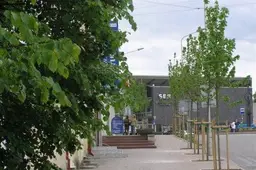 Pavasarį numatoma sodinti želdinius Alytaus miesto gatvėse, parkuose