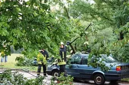 Greičiausias vasaros lietus Alytuje prilijo marias (VIDEO)