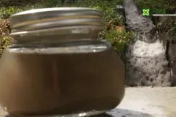 Už milijonus išvalytą Dailidę toliau teršia nuotekos (+TV REPORTAŽAS)