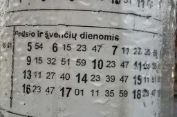 „Laisvo oro direktoriai“: viešojo transporto maršrutų Alytaus mieste neaptarnavo reikiamas mikroautobusų skaičius