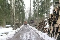 Visi nustatyti eismo taisyklių pažeidėjai ir kelių gadintojai - dzūkiško miško vežėjai lenkai