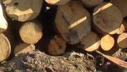 Eismo įvykis – dėl ant kelio išmėtytų rastų