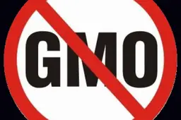Ar galime būti laisvi nuo GMO?