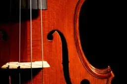 Koncertas MUSICA MAGNA - tikriems muzikos gurmanams