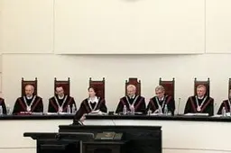 Vyriausybė toliau nagrinės "Alitos" privatizavimo skaidrumą