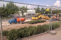 Naujojoje gatvėje – raudonieji ąžuolai, raugerškiai, kalninės pušys ir vanhuto lanksvos