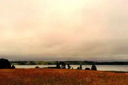 Vanduo į gaisravietę buvo vežiojamas iš ežero