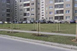 Balandžio mėnesį Alytaus mieste pasodinti nauji želdiniai