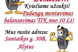 Ką privalu žinoti renkantis žiemines padangas?