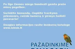 Konkursas  "Pažadinkime pavasarį"
