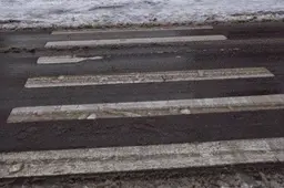 Prie mokyklų esančias pėsčiųjų perėjas Alytuje kontroliuos 33 budėtojai