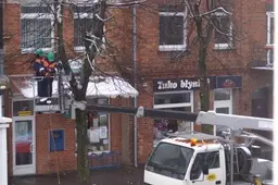 Alytaus miestas jau ruošiasi Kalėdoms